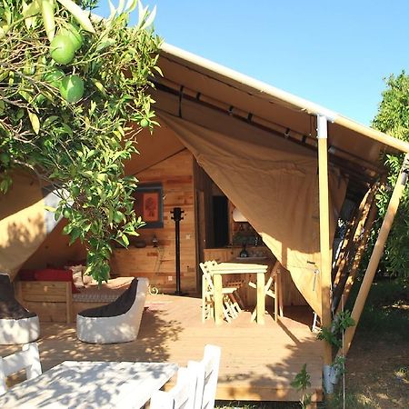 Campo Portakal Eco Glamping Hotel Çıralı Cameră foto