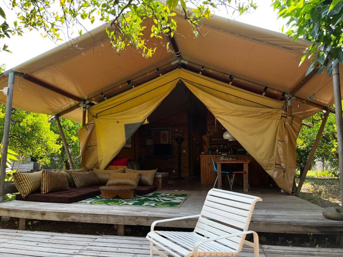 Campo Portakal Eco Glamping Hotel Çıralı Exterior foto