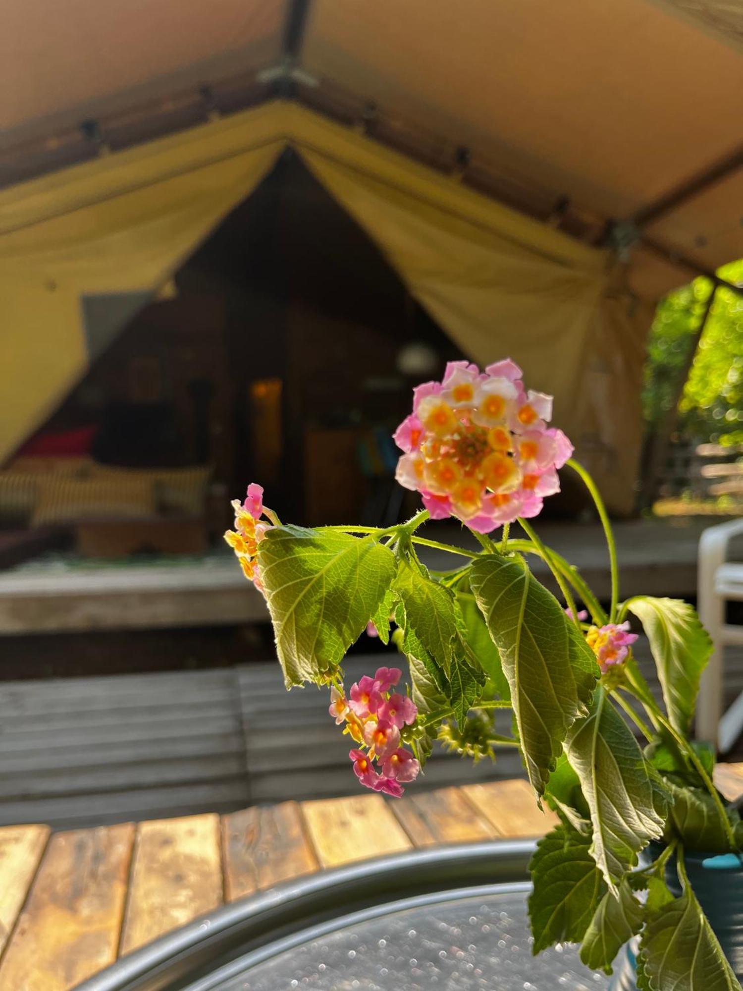 Campo Portakal Eco Glamping Hotel Çıralı Cameră foto
