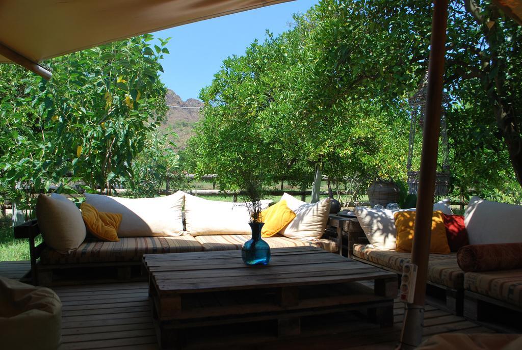 Campo Portakal Eco Glamping Hotel Çıralı Exterior foto