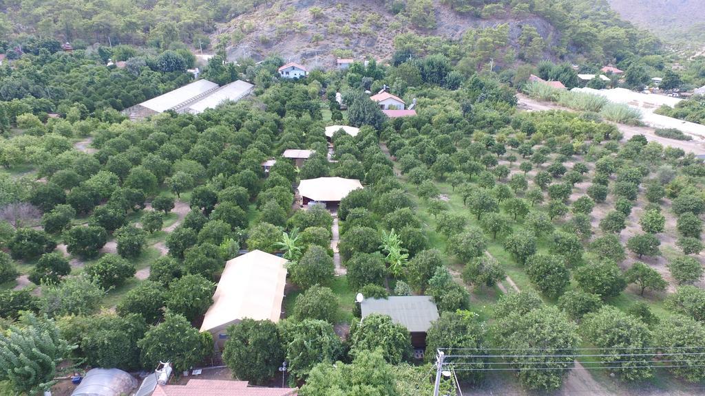 Campo Portakal Eco Glamping Hotel Çıralı Exterior foto